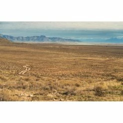 ASSOS Mille GTC Kiespanzer C2 Trägershorts Herren Schwarz 12 ASSOS Mille GTC Kiespanzer C2 Trägershorts Herren Schwarz -Cityräder magasin en ligne assos mille gtc kiespanzer c2 bib shorts men black series 5