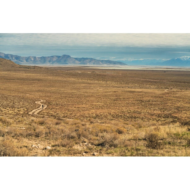 ASSOS Mille GTC Kiespanzer C2 Trägershorts Herren Schwarz 7 ASSOS Mille GTC Kiespanzer C2 Trägershorts Herren Schwarz – Bild 5