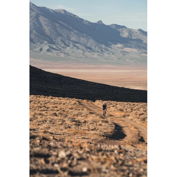 ASSOS Mille GTC Kiespanzer C2 Trägershorts Herren Schwarz 8 ASSOS Mille GTC Kiespanzer C2 Trägershorts Herren Schwarz – Bild 6