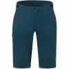 Giro Havoc Shorts Herren Blau